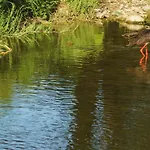 Perperеshka River Stremtsi
