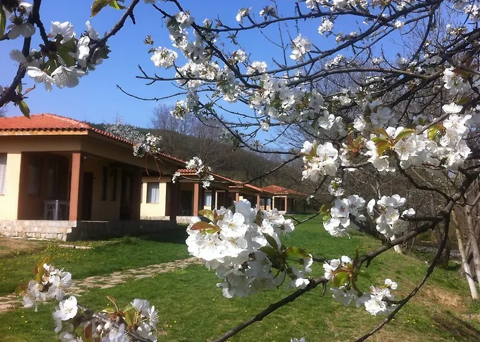 Holiday park Perperеshka River 2*