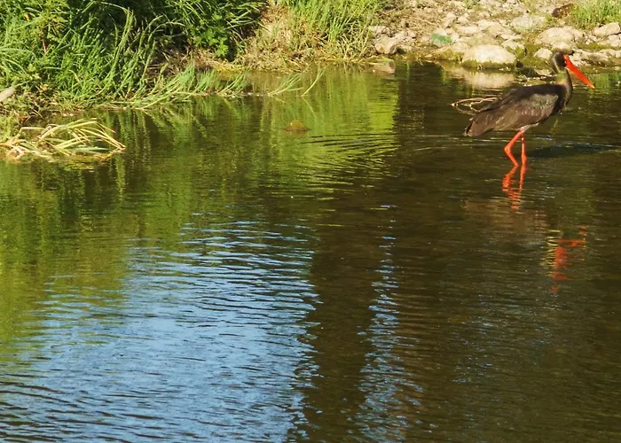 Perperеshka River Stremtsi